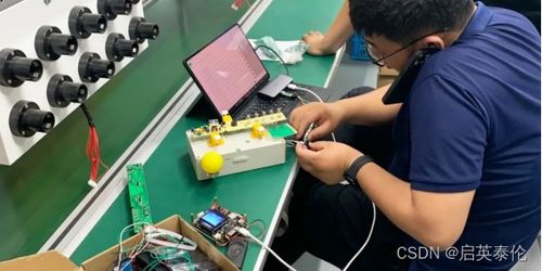 芯片方案在終端產(chǎn)品中的應用 軟件開發(fā)與技術(shù)支持保障